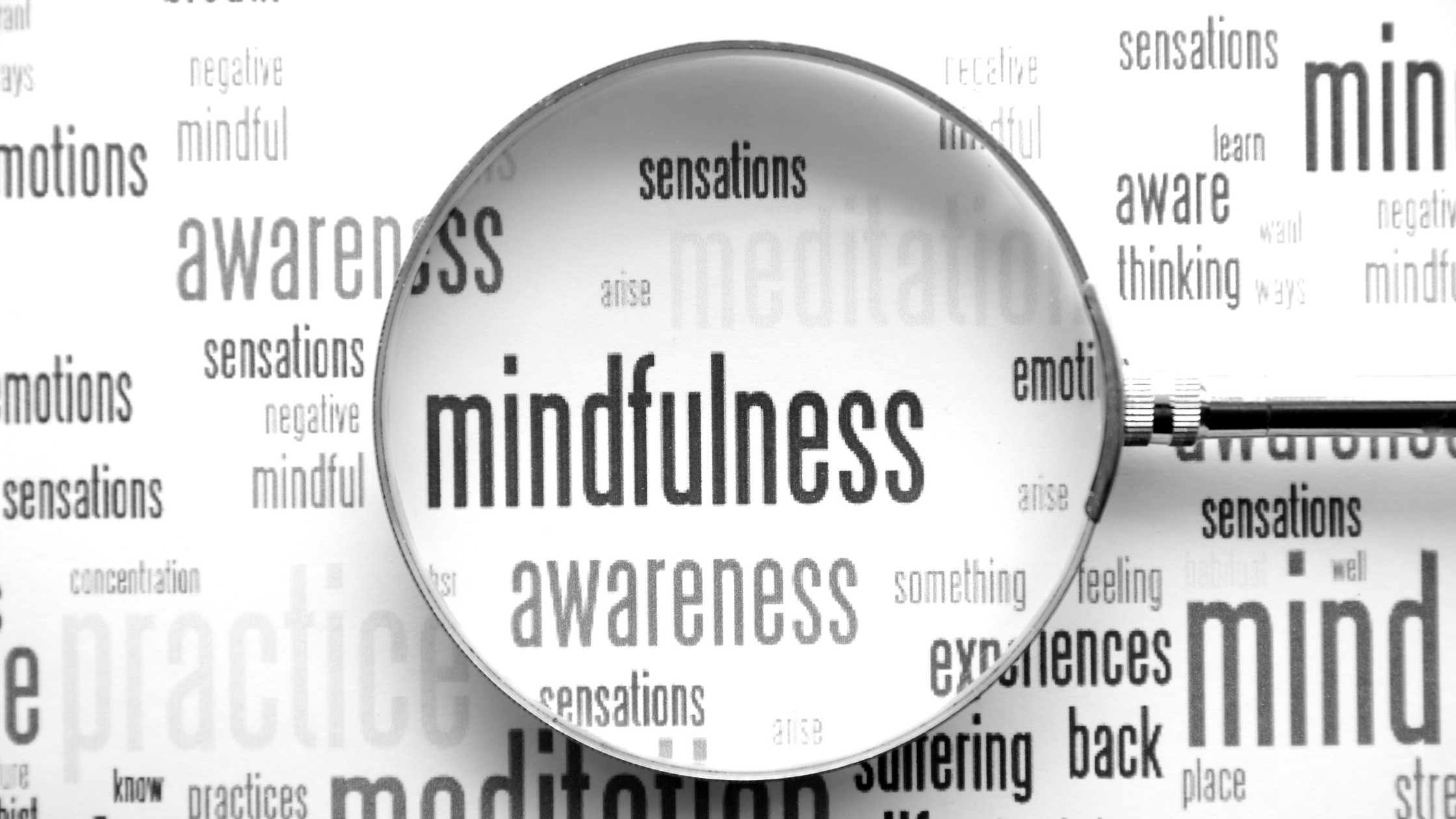 Wellness Wednesday Session 3 - Power of Mindfulness